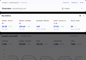 SE Ranking Analytics & Metrics Overview. Source  SE Ranking